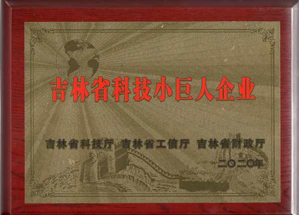 0國(guó)信物業(yè)獲“吉林省科技小巨人企業(yè)”稱(chēng)號(hào)_副本.jpg